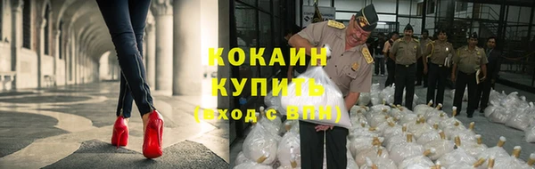 крисы Киренск
