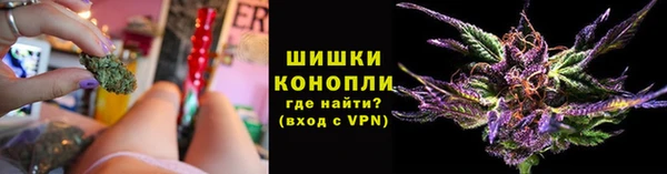 трава Кинешма