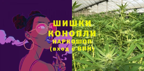 крисы Киренск