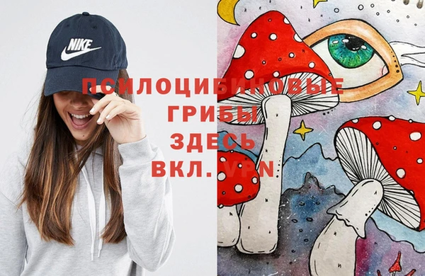 мдма Киреевск