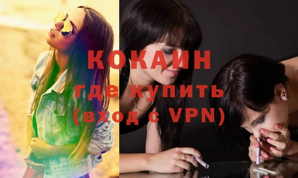 трава Кинешма